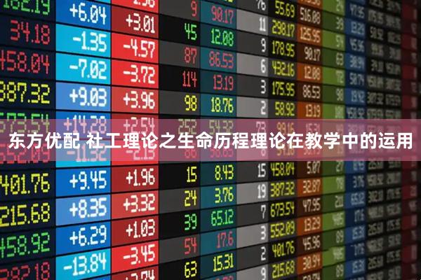 东方优配 社工理论之生命历程理论在教学中的运用