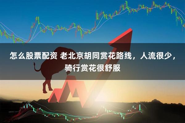 怎么股票配资 老北京胡同赏花路线，人流很少，骑行赏花很舒服