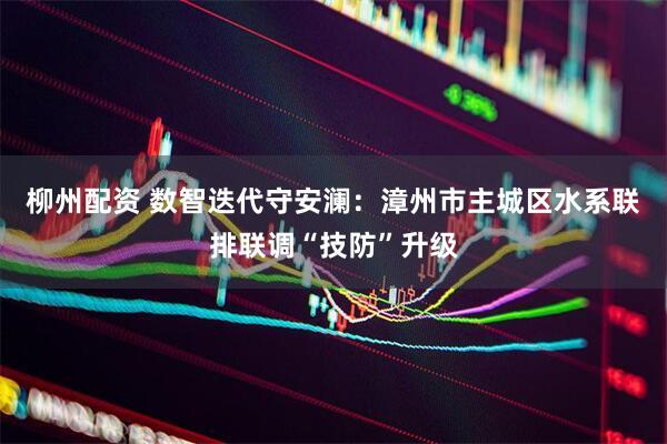 柳州配资 数智迭代守安澜：漳州市主城区水系联排联调“技防”升级