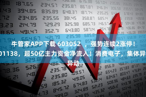 牛管家APP下载 603052  ，强势连续2涨停！601138，超50亿主力资金净流入！消费电子，集体异动